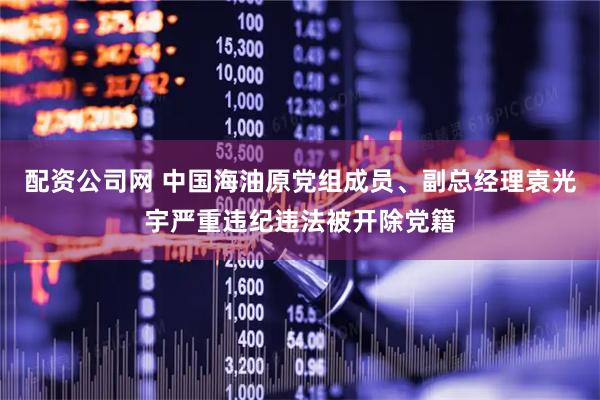 配资公司网 中国海油原党组成员、副总经理袁光宇严重违纪违法被开除党籍