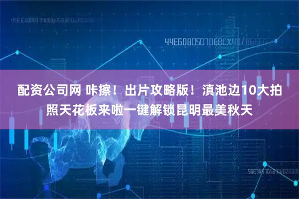 配资公司网 咔擦！出片攻略版！滇池边10大拍照天花板来啦一键解锁昆明最美秋天